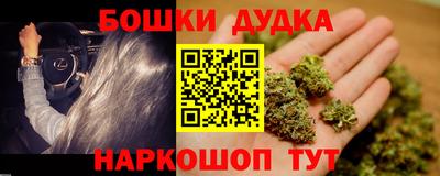 прущие крисы Будённовск