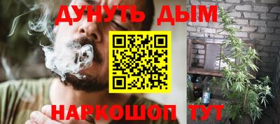 прущие крисы Будённовск