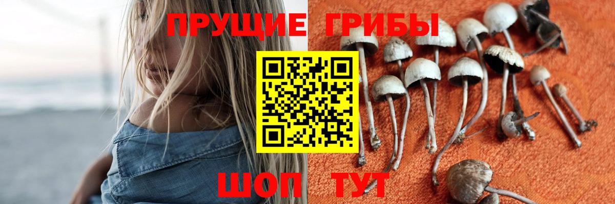 Галлюциногенные грибы ЛСД Лангепас